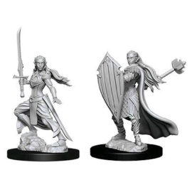 D&D Nolzur's Marvelous Miniatures: Elf Paladin Female