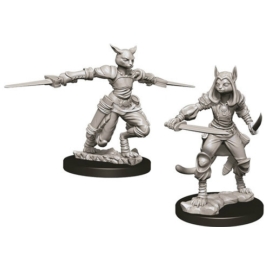 D&D Nolzur's Marvelous Miniatures: Tabaxi Rogue Female