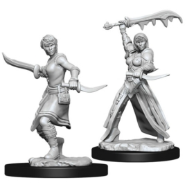 D&D Nolzur's Marvelous Miniatures: Human Rogue Female