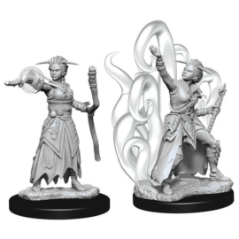 D&D Nolzur's Marvelous Miniatures: Human Warlock Female