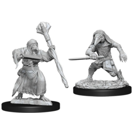 D&D Nolzur's Marvelous Miniatures: Kenku Adventurers