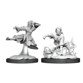 D&D Nolzur's Marvelous Miniatures: Human Monk Female Wave11