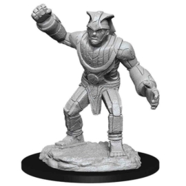 D&D Nolzur's Marvelous Miniatures: Stone Golem