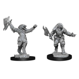 D&D Nolzur's Marvelous Miniatures: Dragonborn Fighter Female Wave11