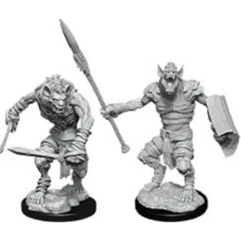 D&D Nolzur's Marvelous Miniatures: Gnoll & Flesh Gnawer