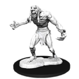 D&D Nolzur's Marvelous Miniatures: Raging Troll