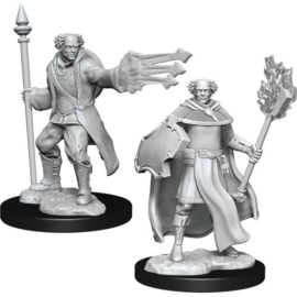 D&D Nolzur's Marvelous Miniatures: Multiclass Cleric/Wizard