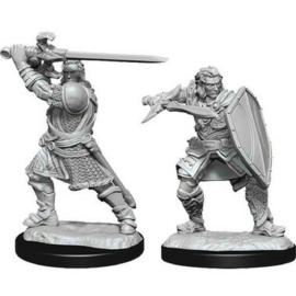D&D Nolzur's Marvelous Miniatures: Human Paladin Male Wave 14