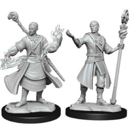 D&D Nolzur's Marvelous Miniatures: Half-Elf Wizard Male Wave 14