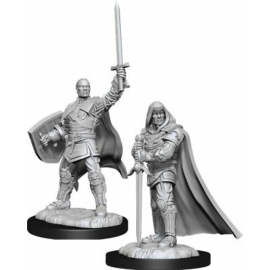 D&D Nolzur's Marvelous Miniatures: Human Paladin Male Wave 13