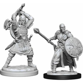 D&D Nolzur's Marvelous Miniatures: Human Barbarian Male Wave 13