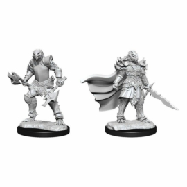 D&D Nolzur's Marvelous Miniatures: Dragonborn Fighter Female Wave13