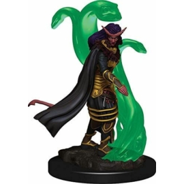 D&D Icons: Tiefling Sorcerer Female Premium Prepainted