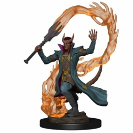 D&D Icons: Tiefling Sorcerer Male Premium Prepainted
