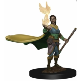 D&D Icons: Elf Druid Female Premium Prepainted