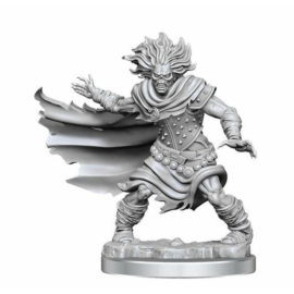 D&D Frameworks: Wight (W1)