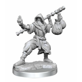 D&D Frameworks: Male Human Monk (W1)