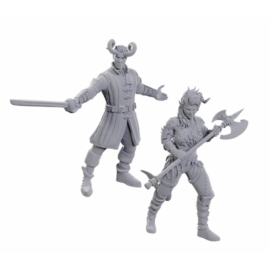 D&D Nolzur's Special Edition Miniatures: Baldur's Gate 3 - Wyll & Karlach