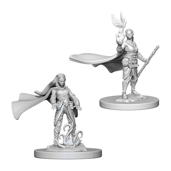 D&D Nolzur's Marvelous Miniatures: Elf Druid Female