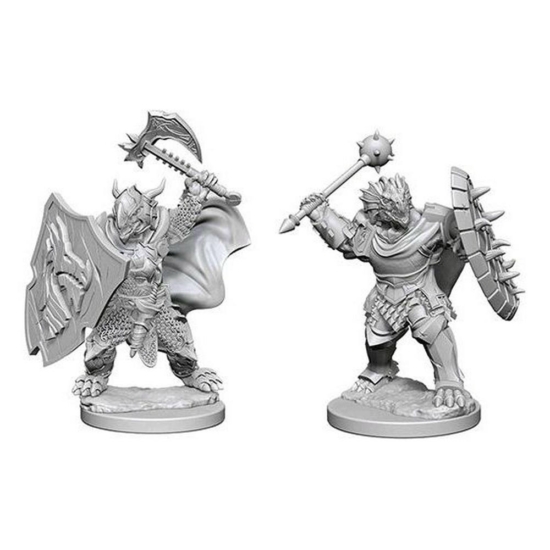 D&D Nolzur's Marvelous Miniatures: Dragonborn Paladin Male Wave 1