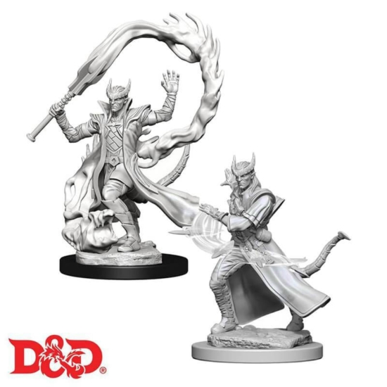 D&D Nolzur's Marvelous Miniatures: Tiefling Sorcerer Male