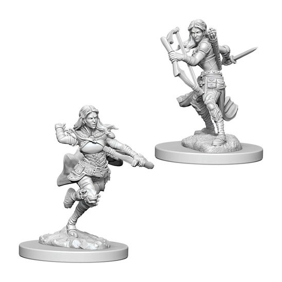 D&D Nolzur's Marvelous Miniatures: Air Genasi Rogue Female