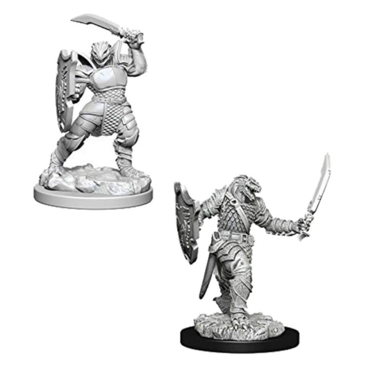 D&D Nolzur's Marvelous Miniatures: Dragonborn Paladin Female