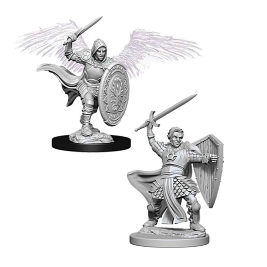 D&D Nolzur's Marvelous Miniatures: Aasimar Paladin Male