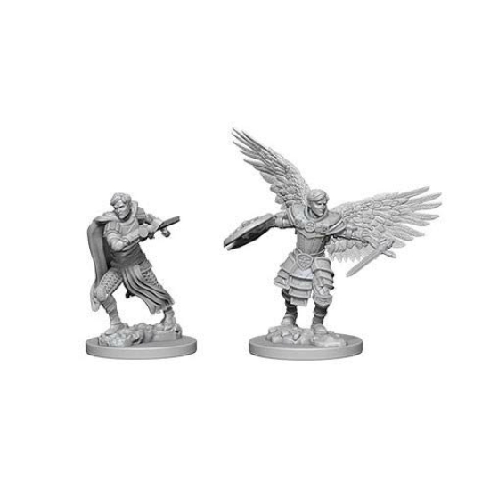 D&D Nolzur's Marvelous Miniatures: Aasimar Fighter Male