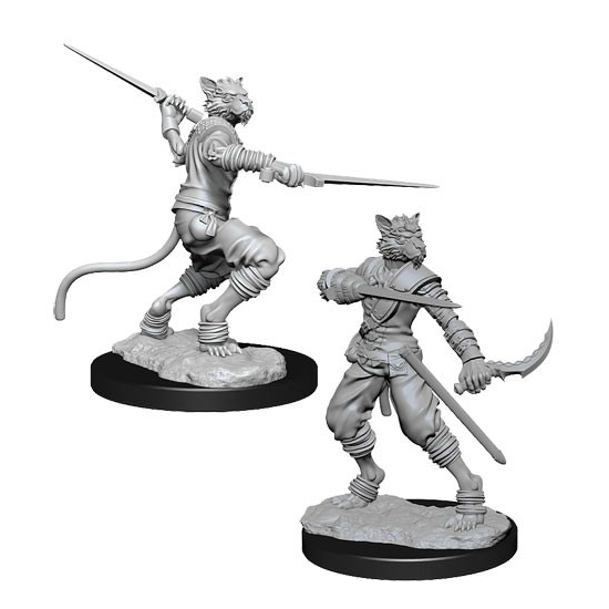 D&D Nolzur's Marvelous Miniatures: Tabaxi Rogue Male