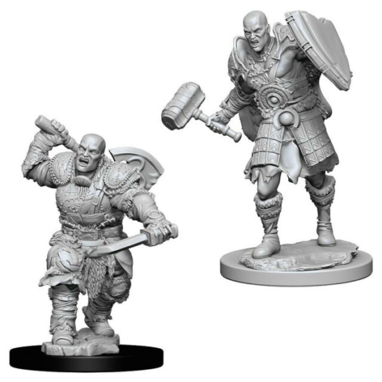 D&D Nolzur's Marvelous Miniatures: Goliath Fighter Male