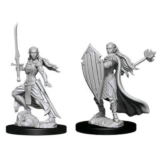 D&D Nolzur's Marvelous Miniatures: Elf Paladin Female