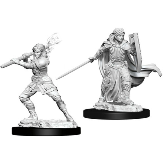 D&D Nolzur's Marvelous Miniatures: Human Paladin Female