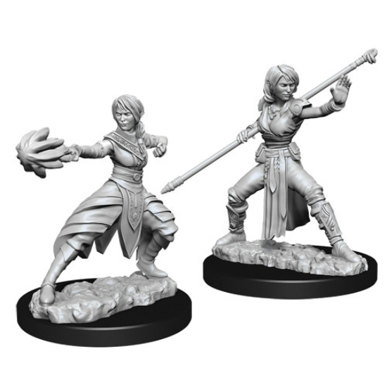 D&D Nolzur's Marvelous Miniatures: Half-elf Monk Female