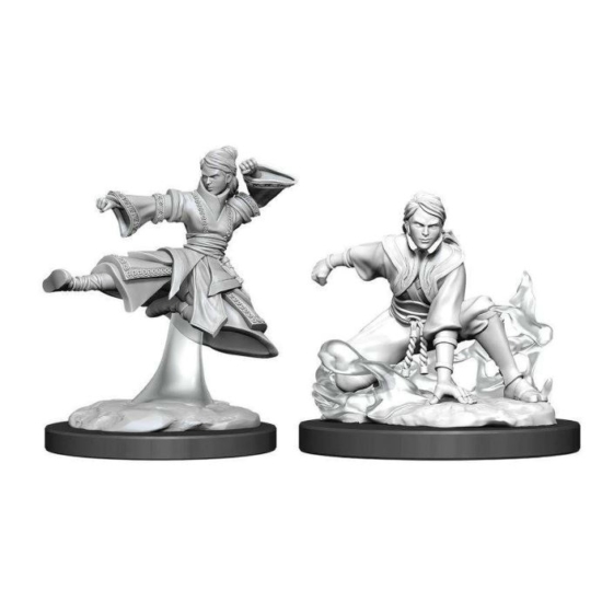 D&D Nolzur's Marvelous Miniatures: Human Monk Female Wave11