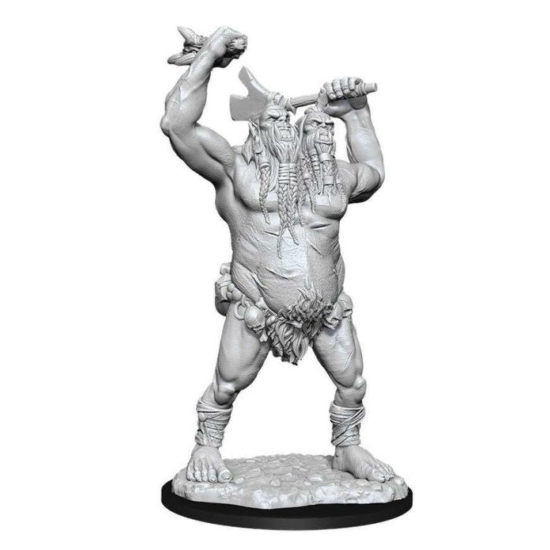 D&D Nolzur's Marvelous Miniatures: Ettin