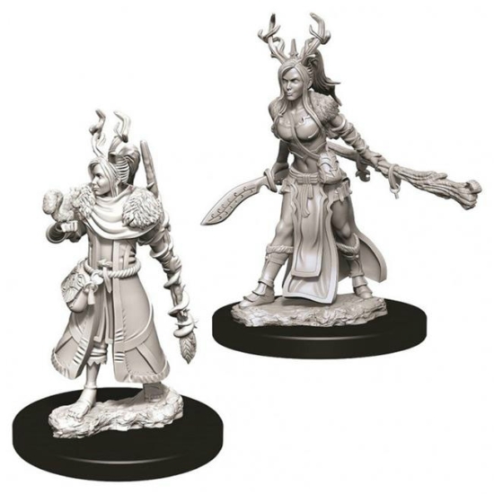D&D Nolzur's Marvelous Miniatures: Human Druid Female Wave12
