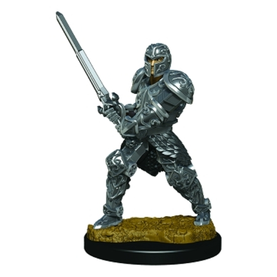 D&D Icons: Human Male Fighter Premium Prepainted Miniature