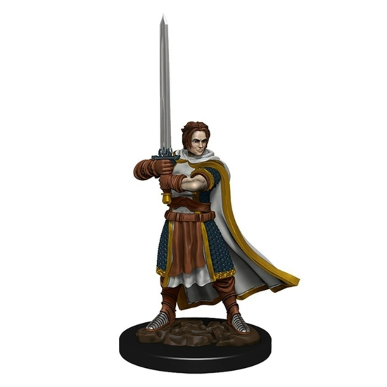 D&D Icons: Human Male Cleric Premium Prepainted Miniature