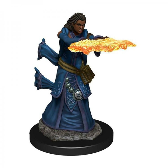 D&D Icons: Human Female Wizard Premium Prepainted Miniature