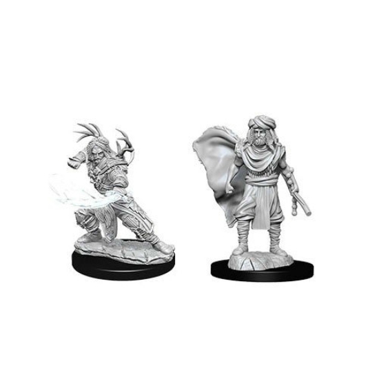 D&D Nolzur's Marvelous Miniatures: Human Druid Male Wave12