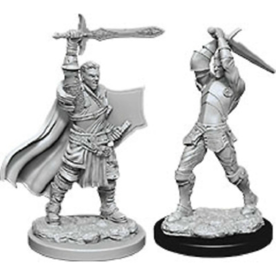 D&D Nolzur's Marvelous Miniatures: Human Paladin Male Wave 12