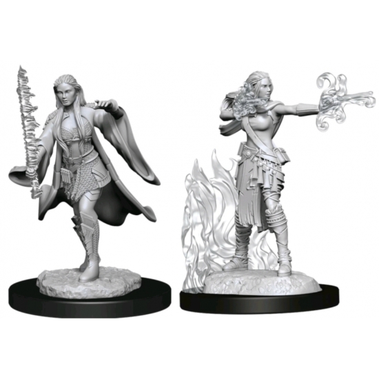 D&D Nolzur's Marvelous Miniatures: Multiclass Warlock/Sorcerer