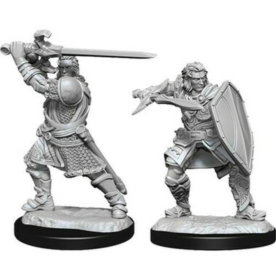 D&D Nolzur's Marvelous Miniatures: Human Paladin Male Wave 14