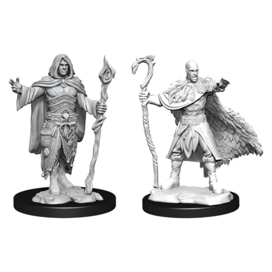 D&D Nolzur's Marvelous Miniatures: Human Druid Male Wave 14