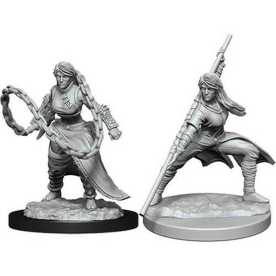 D&D Nolzur's Marvelous Miniatures: Human Monk Female Wave 14