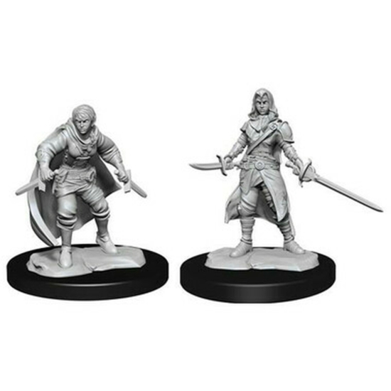 D&D Nolzur's Marvelous Miniatures: Half-Elf Rogue Female Wave 14