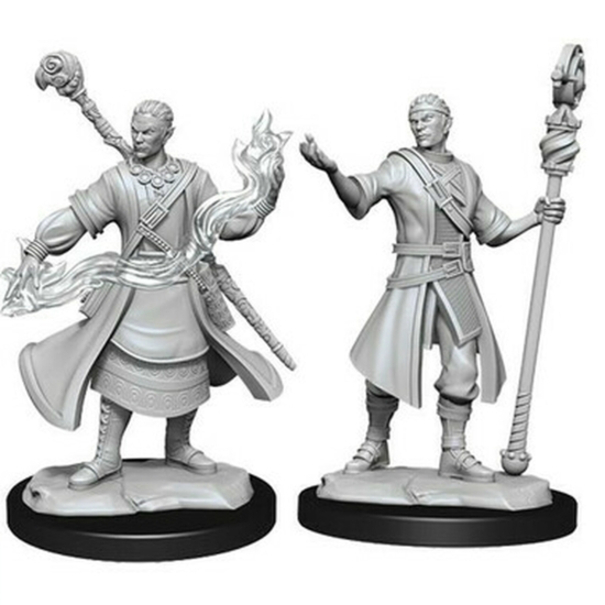 D&D Nolzur's Marvelous Miniatures: Half-Elf Wizard Male Wave 14