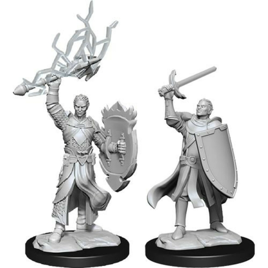 D&D Nolzur's Marvelous Miniatures: Half-Elf Paladin Male Wave 14