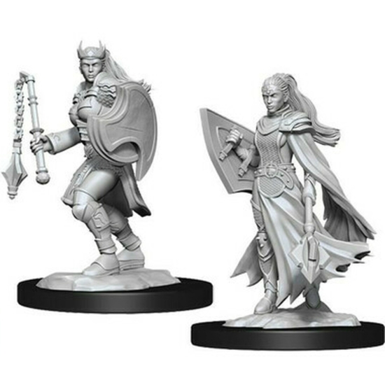 D&D Nolzur's Marvelous Miniatures: Kalashtar Cleric Female Wave 14